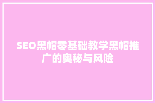 SEO黑帽零基础教学黑帽推广的奥秘与风险