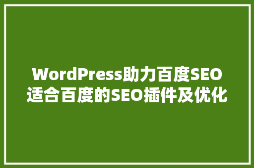 WordPress助力百度SEO适合百度的SEO插件及优化步骤