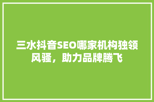 三水抖音SEO哪家机构独领风骚，助力品牌腾飞