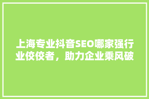 上海专业抖音SEO哪家强行业佼佼者，助力企业乘风破浪
