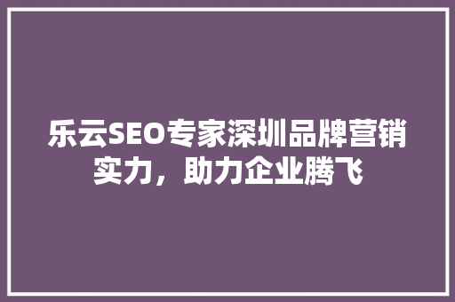 乐云SEO专家深圳品牌营销实力，助力企业腾飞