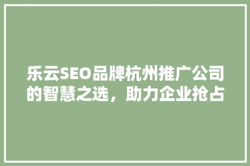 乐云SEO品牌杭州推广公司的智慧之选，助力企业抢占网络营销制高点