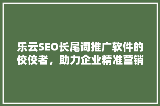 乐云SEO长尾词推广软件的佼佼者，助力企业精准营销