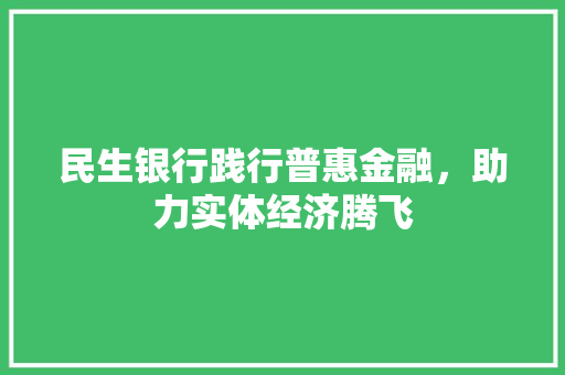 民生银行践行普惠金融，助力实体经济腾飞