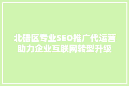 北碚区专业SEO推广代运营助力企业互联网转型升级