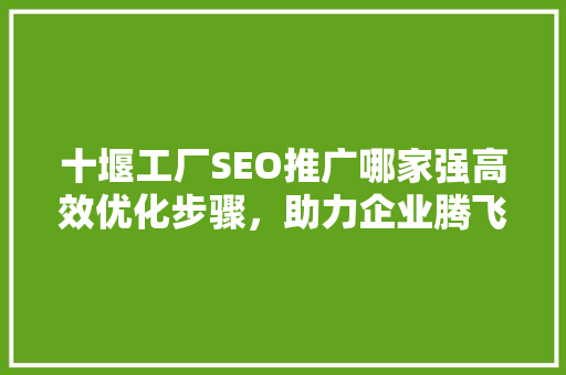 十堰工厂SEO推广哪家强高效优化步骤，助力企业腾飞
