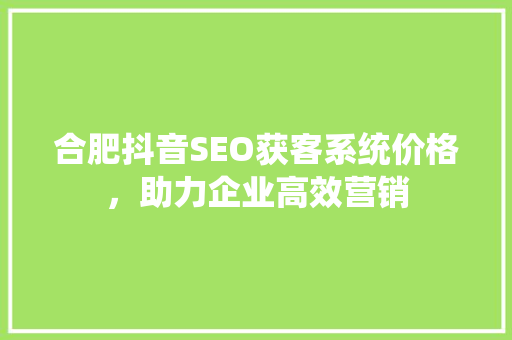 合肥抖音SEO获客系统价格，助力企业高效营销