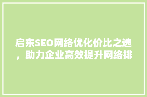 启东SEO网络优化价比之选，助力企业高效提升网络排名