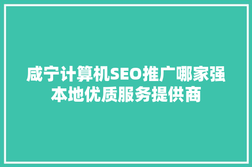 咸宁计算机SEO推广哪家强本地优质服务提供商