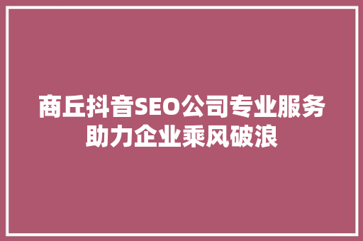 商丘抖音SEO公司专业服务助力企业乘风破浪