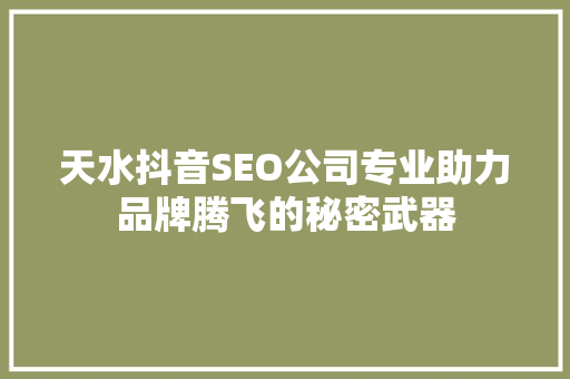 天水抖音SEO公司专业助力品牌腾飞的秘密武器