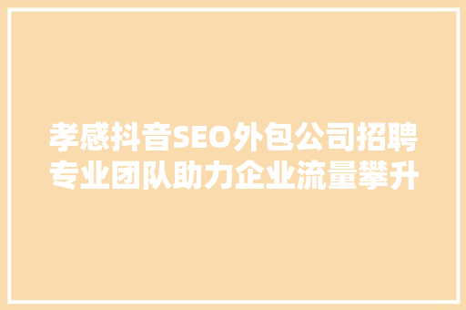 孝感抖音SEO外包公司招聘专业团队助力企业流量攀升
