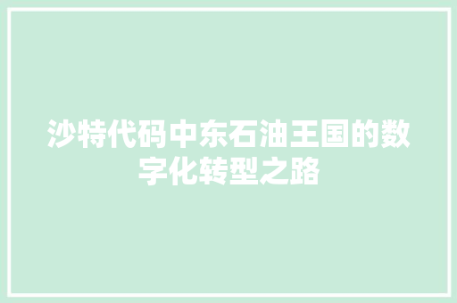 沙特代码中东石油王国的数字化转型之路