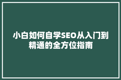 小白如何自学SEO从入门到精通的全方位指南