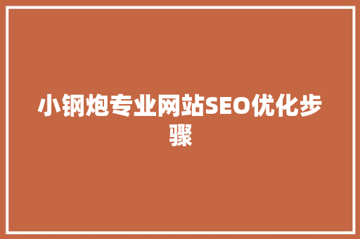 小钢炮专业网站SEO优化步骤