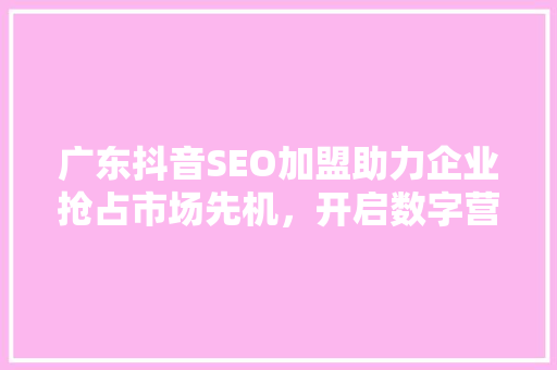 广东抖音SEO加盟助力企业抢占市场先机，开启数字营销新篇章