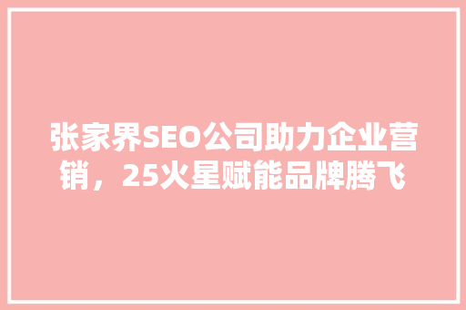 张家界SEO公司助力企业营销，25火星赋能品牌腾飞