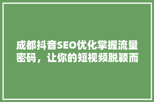 成都抖音SEO优化掌握流量密码，让你的短视频脱颖而出