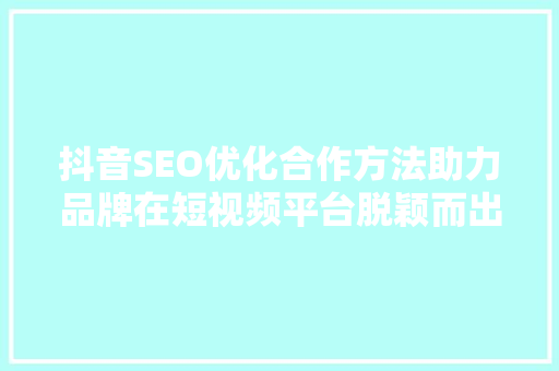 抖音SEO优化合作方法助力品牌在短视频平台脱颖而出