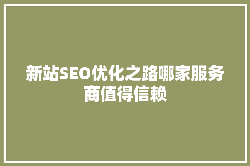 新站SEO优化之路哪家服务商值得信赖