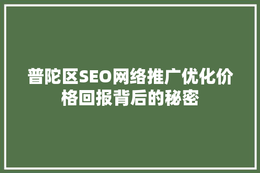 普陀区SEO网络推广优化价格回报背后的秘密