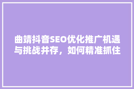 曲靖抖音SEO优化推广机遇与挑战并存，如何精准抓住流量红利