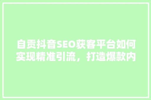 自贡抖音SEO获客平台如何实现精准引流，打造爆款内容