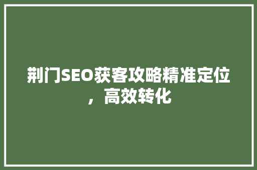 荆门SEO获客攻略精准定位，高效转化