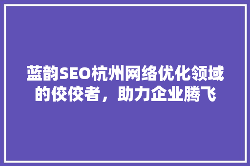 蓝韵SEO杭州网络优化领域的佼佼者，助力企业腾飞
