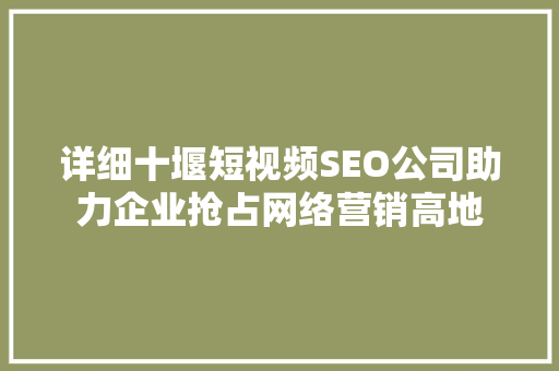 详细十堰短视频SEO公司助力企业抢占网络营销高地