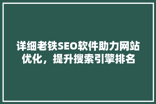 详细老铁SEO软件助力网站优化，提升搜索引擎排名