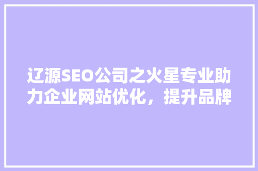 辽源SEO公司之火星专业助力企业网站优化，提升品牌影响力