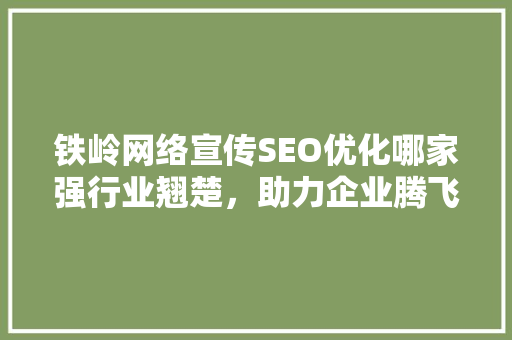 铁岭网络宣传SEO优化哪家强行业翘楚，助力企业腾飞