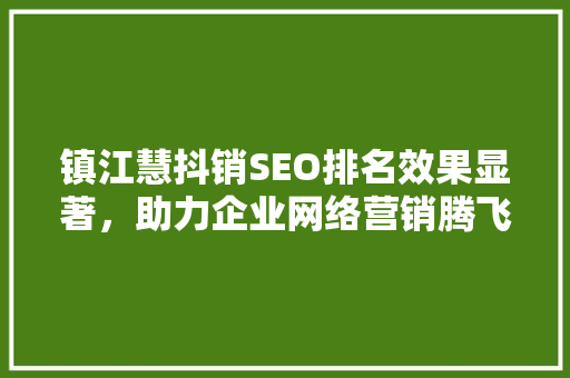 镇江慧抖销SEO排名效果显著，助力企业网络营销腾飞