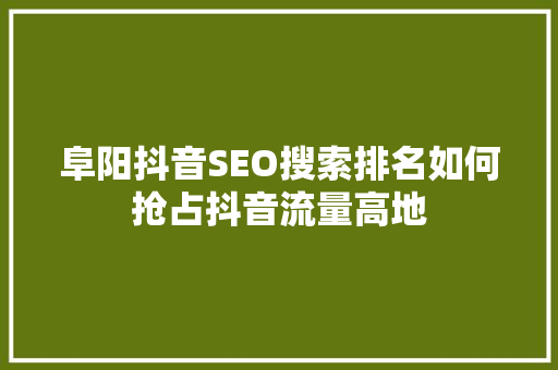 阜阳抖音SEO搜索排名如何抢占抖音流量高地