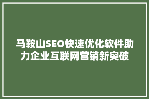 马鞍山SEO快速优化软件助力企业互联网营销新突破