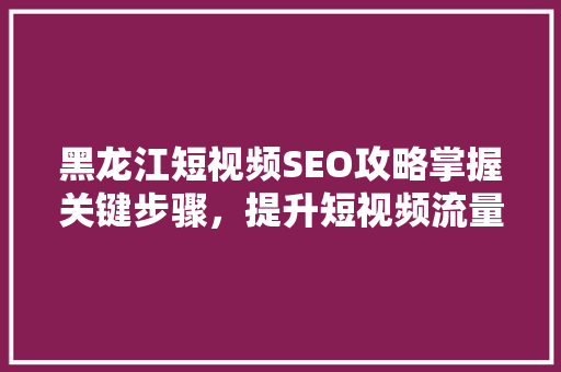黑龙江短视频SEO攻略掌握关键步骤，提升短视频流量