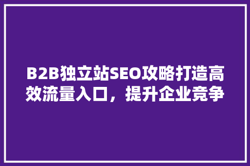 B2B独立站SEO攻略打造高效流量入口，提升企业竞争力