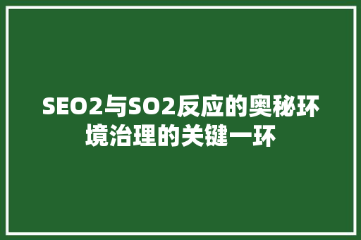 SEO2与SO2反应的奥秘环境治理的关键一环