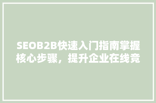 SEOB2B快速入门指南掌握核心步骤，提升企业在线竞争力