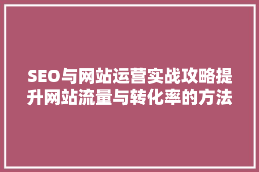 SEO与网站运营实战攻略提升网站流量与转化率的方法  第1张