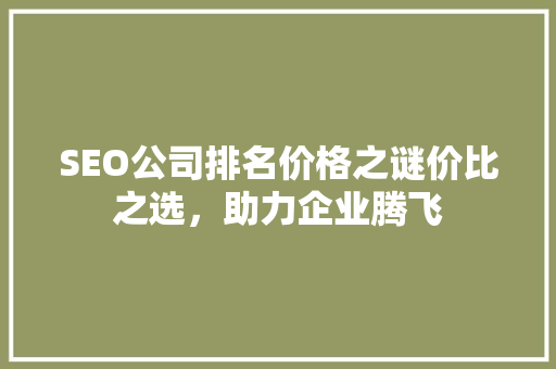 SEO公司排名价格之谜价比之选，助力企业腾飞