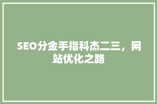 SEO分金手指科杰二三，网站优化之路