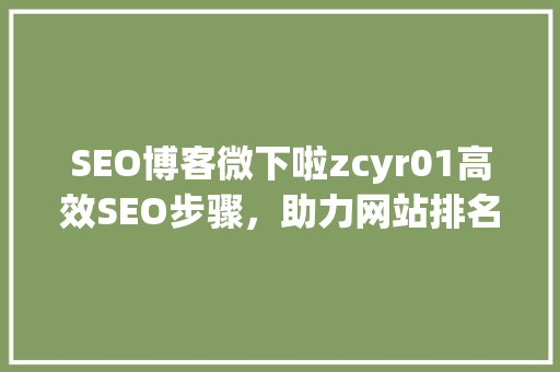 SEO博客微下啦zcyr01高效SEO步骤，助力网站排名飙升