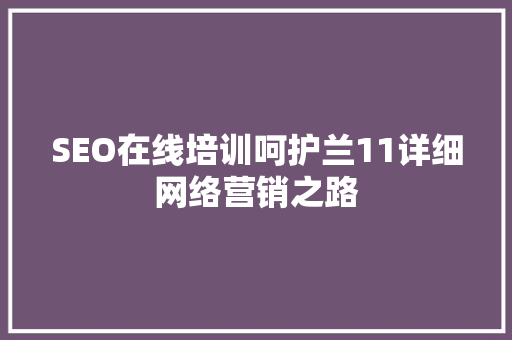 SEO在线培训呵护兰11详细网络营销之路