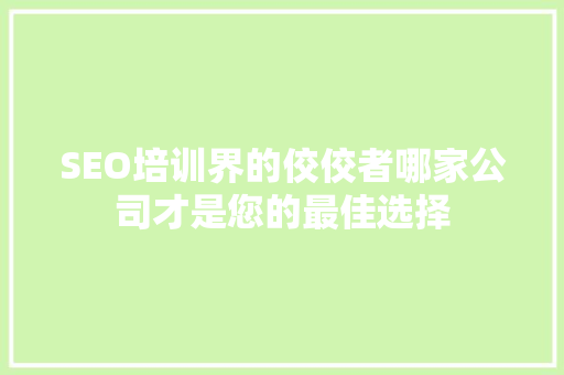 SEO培训界的佼佼者哪家公司才是您的最佳选择