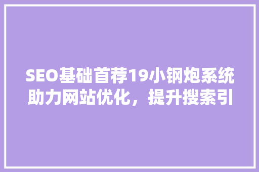 SEO基础首荐19小钢炮系统助力网站优化，提升搜索引擎排名