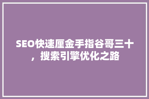 SEO快速厘金手指谷哥三十，搜索引擎优化之路
