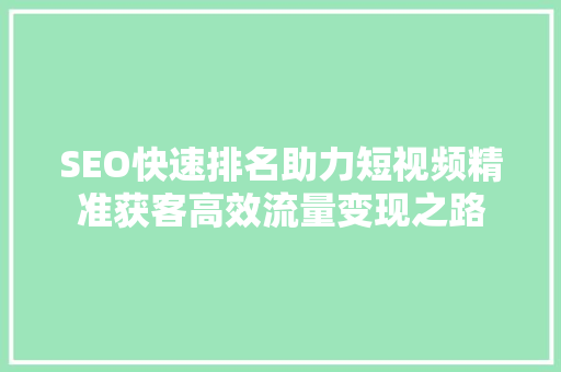 SEO快速排名助力短视频精准获客高效流量变现之路