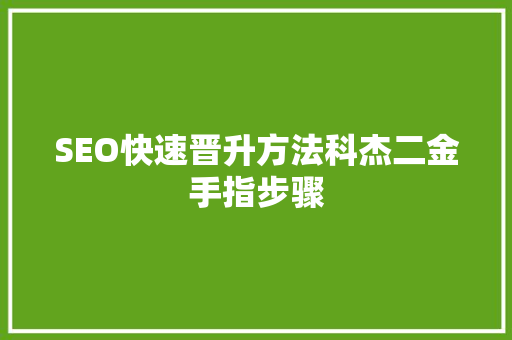 SEO快速晋升方法科杰二金手指步骤
